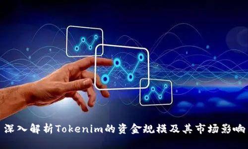 深入解析Tokenim的资金规模及其市场影响