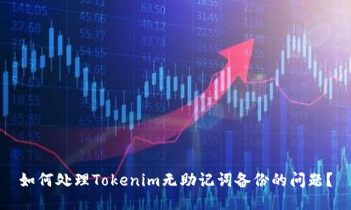 如何处理Tokenim无助记词备份的问题？