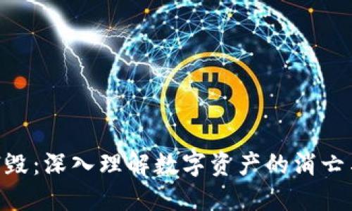 Tokenim销毁：深入理解数字资产的消亡与价值重塑