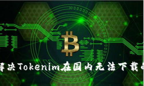 如何解决Tokenim在国内无法下载的问题