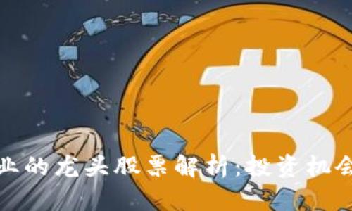 数字货币行业的龙头股票解析：投资机会与市场前景