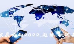 数字货币发展方向2022：趋