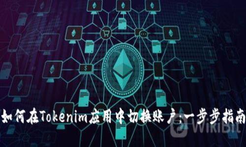 如何在Tokenim应用中切换账户：一步步指南