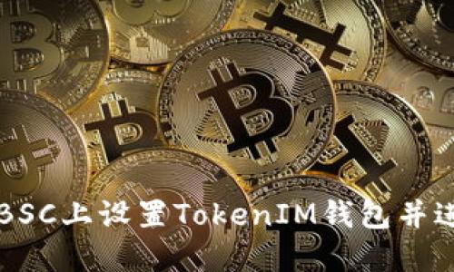 如何在BSC上设置TokenIM钱包并进行使用