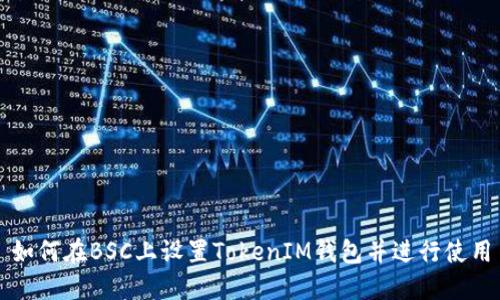 如何在BSC上设置TokenIM钱包并进行使用
