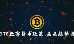 深入解析BTE数字货币政策
