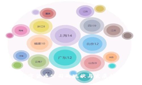 深圳数字货币公司的现状与发展趋势分析