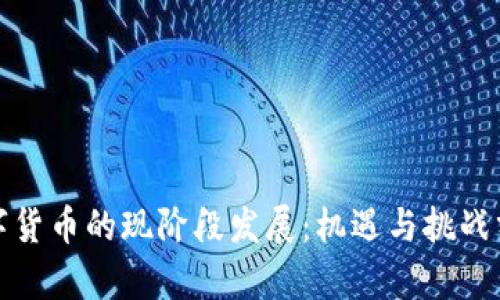 数字货币的现阶段发展：机遇与挑战分析