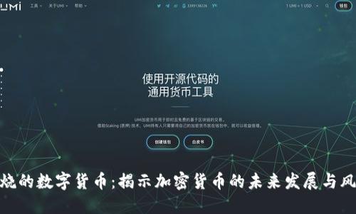 燃烧的数字货币：揭示加密货币的未来发展与风险