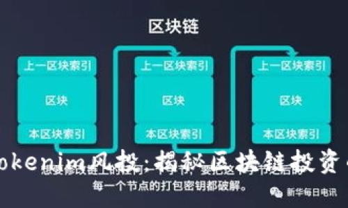 成功解密Tokenim风投：揭秘区块链投资的未来趋势