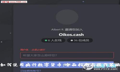 如何使用央行数字货币：全面指南与操作策略