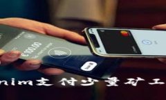 如何用Tokenim支付少量矿工