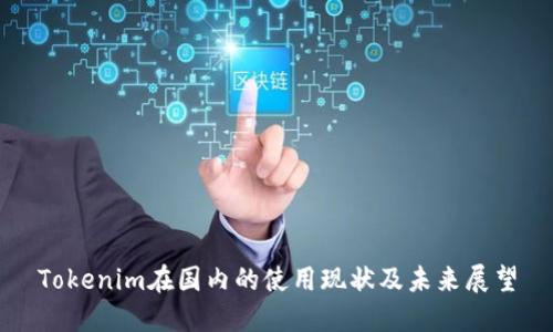 Tokenim在国内的使用现状及未来展望