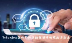 Tokenim：国内新兴区块链项