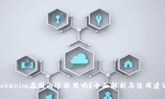 Tokenim在国内还能用吗？全