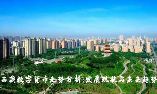 西藏数字货币走势分析：发展现状与未来趋势