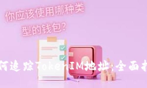 如何追踪TokenIM地址：全面指南