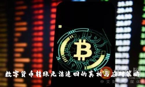 数字货币转账无法追回的真相与应对策略