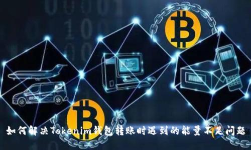 如何解决Tokenim钱包转账时遇到的能量不足问题