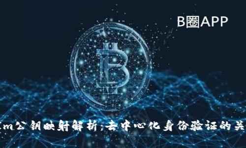 TokenIm公钥映射解析：去中心化身份验证的关键机制