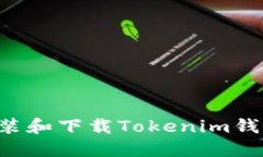 如何顺利安装和下载Toke