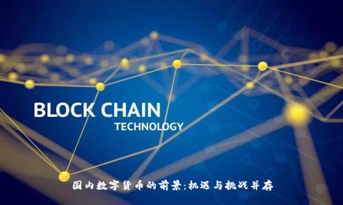 国内数字货币的前景：机遇与挑战并存