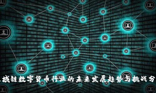 区域链数字货币行业的未来发展趋势与挑战分析