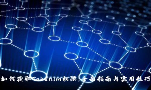 如何获取Tokenim权限：全面指南与实用技巧