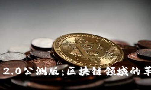 Tokenim 2.0公测版：区块链领域的革新与未来