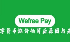 沈腾数字货币涨价的背后