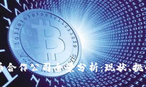 美国数字货币合作公司全景分析：现状、挑战与未来展望