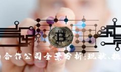 美国数字货币合作公司全