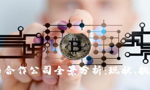 美国数字货币合作公司全景分析：现状、挑战与未来展望
