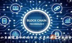 山东数字货币市场分析：