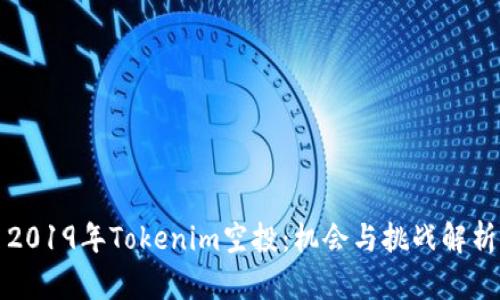 2019年Tokenim空投：机会与挑战解析