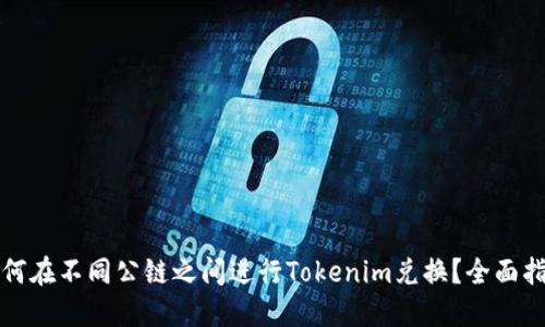 如何在不同公链之间进行Tokenim兑换？全面指南