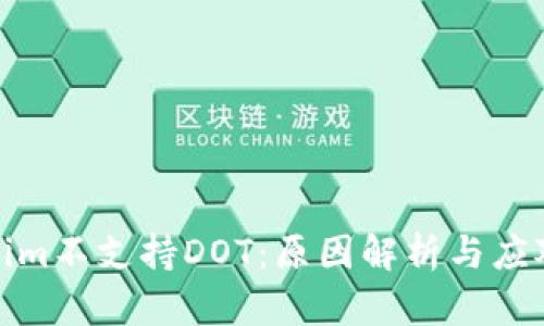 Tokenim不支持DOT：原因解析与应对策略