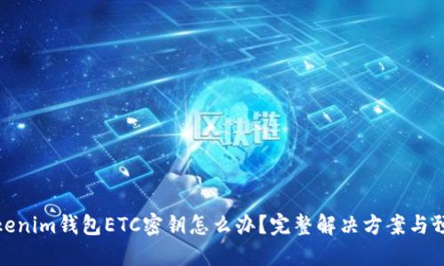 丢失Tokenim钱包ETC密钥怎么办？完整解决方案与预防措施