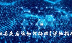 TokenIM密钥丢失后该如何处理？详细指南与最佳实