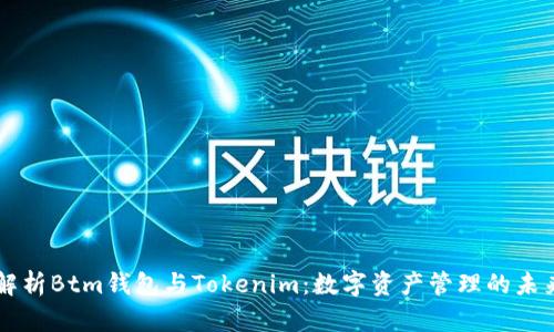 深入解析Btm钱包与Tokenim：数字资产管理的未来平台