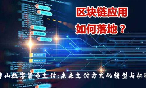 中山数字货币支付：未来支付方式的转型与机遇