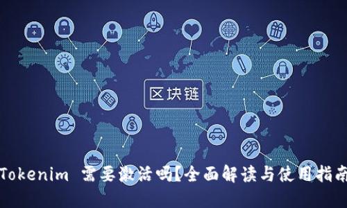 Tokenim 需要激活吗？全面解读与使用指南