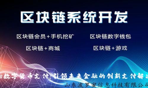 Ripple数字货币支付：引领未来金融的创新支付解决方案