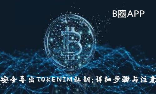 如何安全导出TOKENIM私钥：详细步骤与注意事项