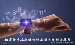数字货币在天津的试点项目分析与展望