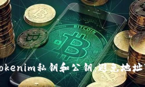 如何安全导入Tokenim私钥和公钥：避免地址变化的最佳实践
