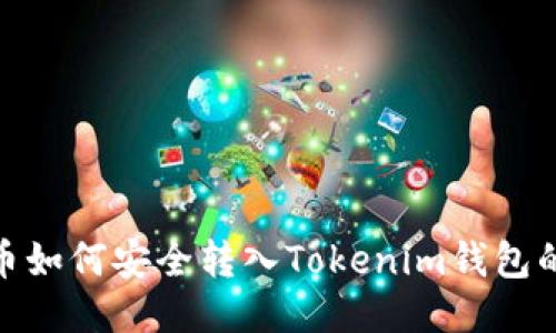 BCH分叉币如何安全转入Tokenim钱包的详细指南