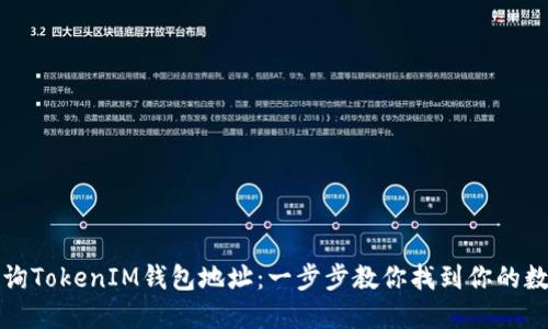如何查询TokenIM钱包地址：一步步教你找到你的数字资产