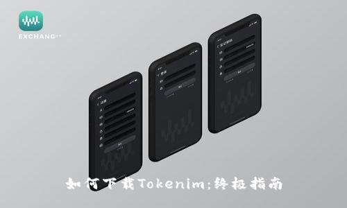 如何下载Tokenim：终极指南