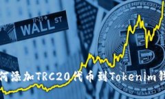 如何添加TRC20代币到Token